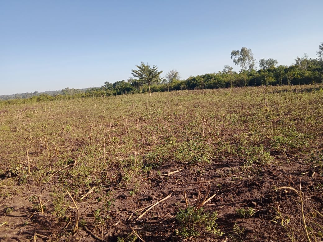 Hope Adongo School Farm